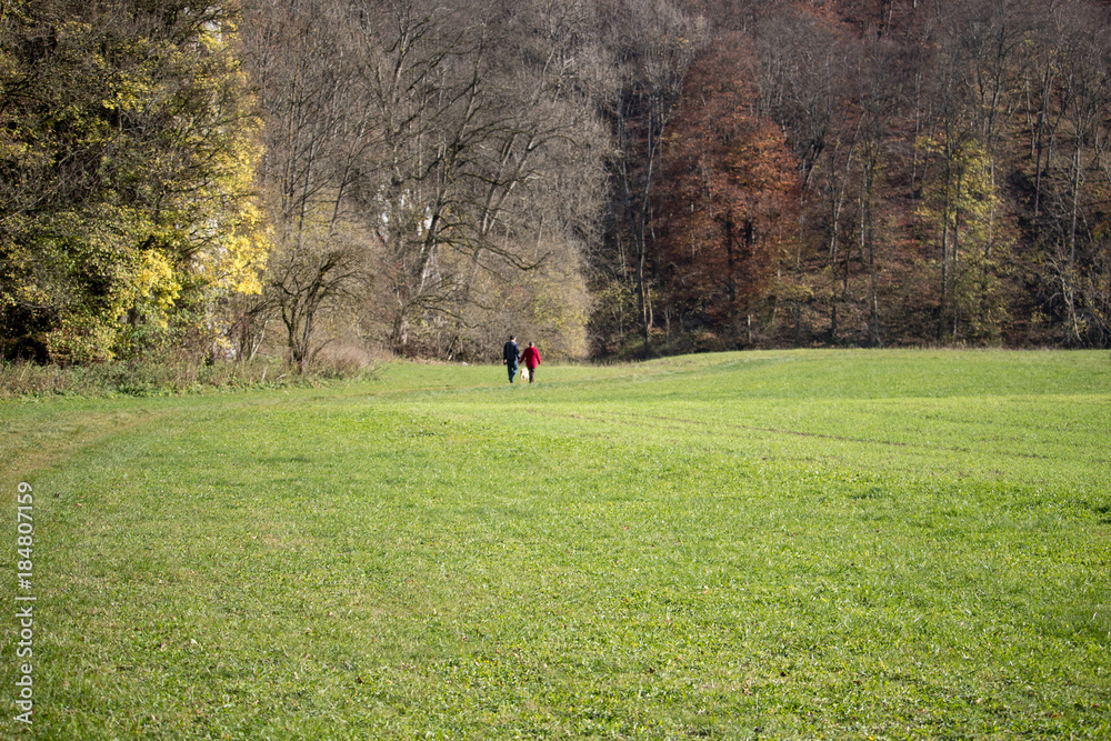 Fototapeta premium couple walking in the park