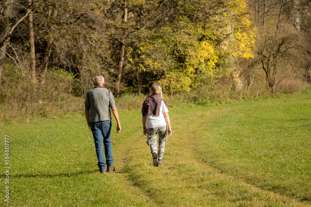 couple in the forest couple in the forest