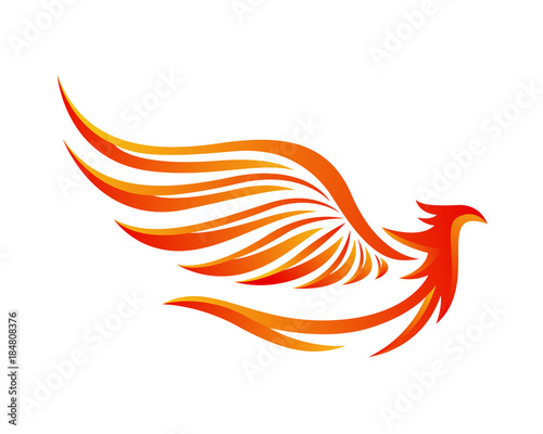 Modern Flaming Phoenix Illustration Symbol
