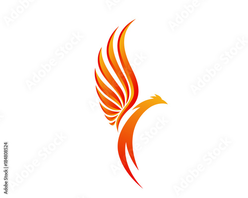 Modern Flaming Phoenix Illustration Symbol