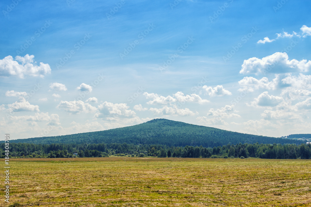Picturesque landscape with mowed field and a high mountain on the horizon.