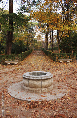 Brown, yellow and reddish colors of autumn in the park