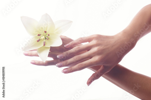Beautiful woman hands french manicure with camomile flower isolated on a white background
