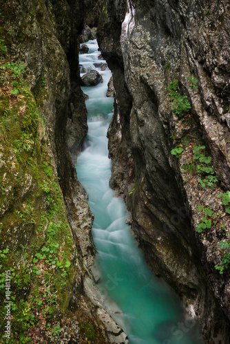 Moznica   Nemclja gorge in Soca  Trenta  valley in Slovenia