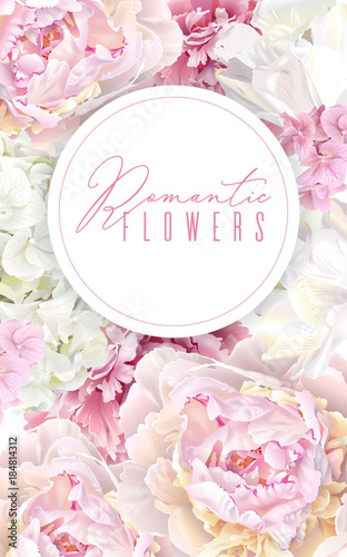 Peony pink banner