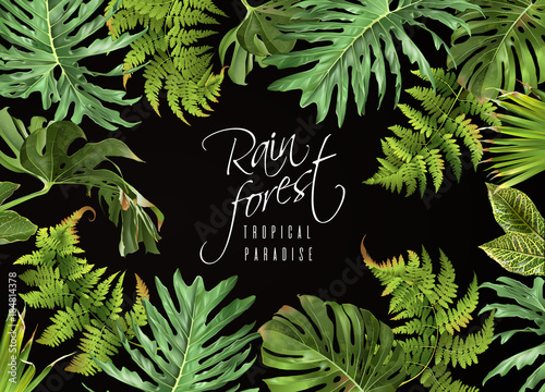 Rain forest banner