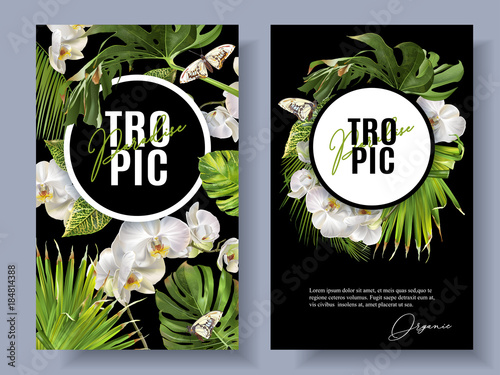 Tropic orchid banners