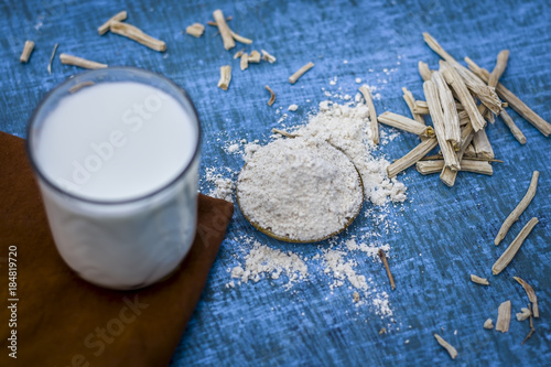 Close up of ayurvedic herb   satavari,Asparagus racemosus with its powder and root with milk glass. photo