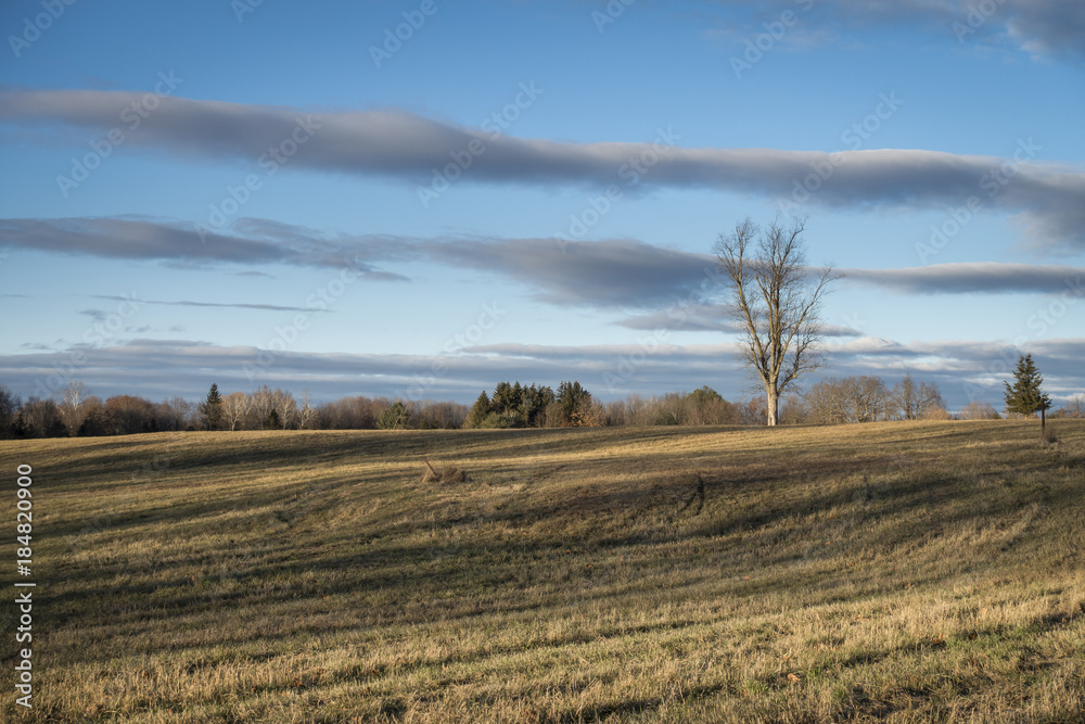Old Hayfield in Winter with Dramatic Clouds and Shadows