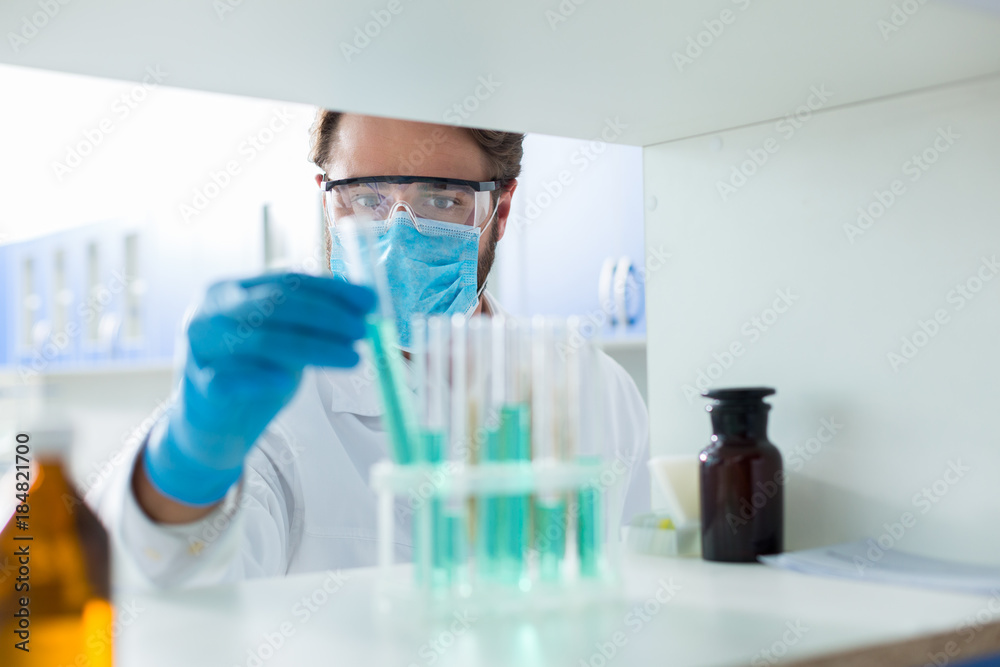 Fototapeta premium Smart professional scientist working in the laboratory