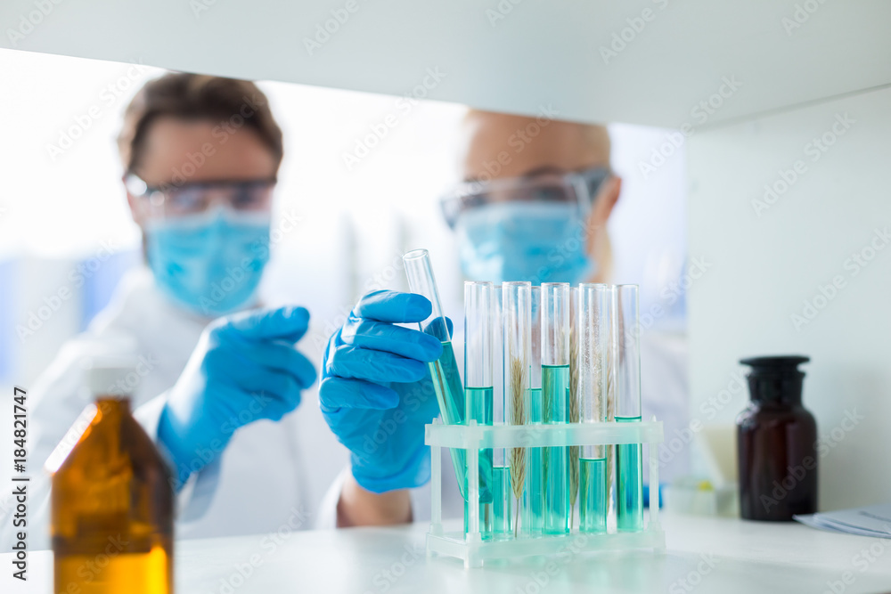 Test tubes being taken for the lab analysis