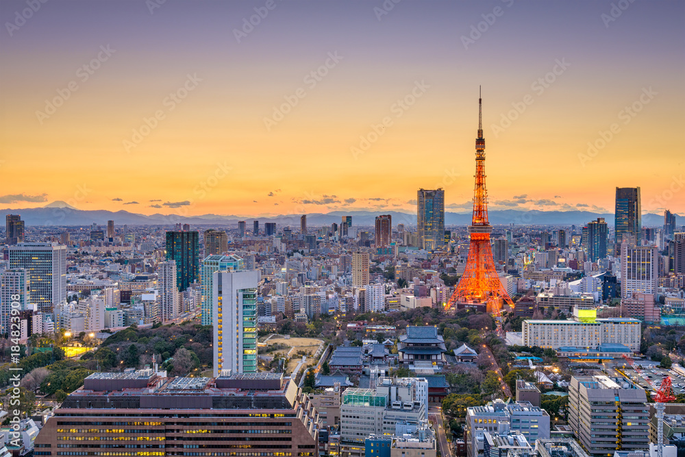 Obraz premium Tokio, Japonia