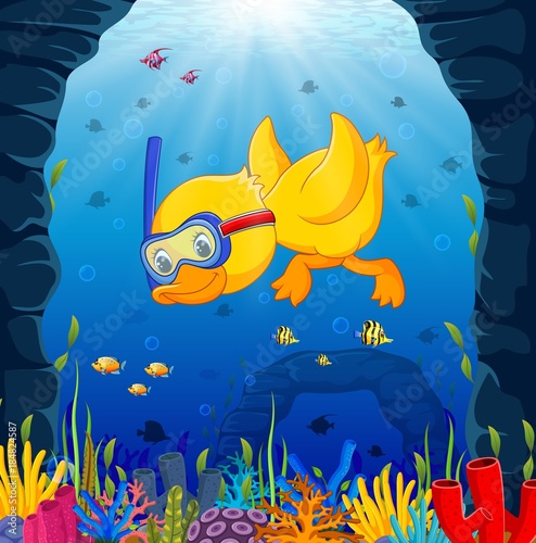 cute duck snorkeling underwater sea