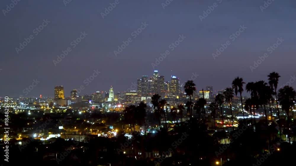 Downtown Los Angeles at night with palm trees in the foreground Downtown Los Angeles at night with palm trees in the foreground