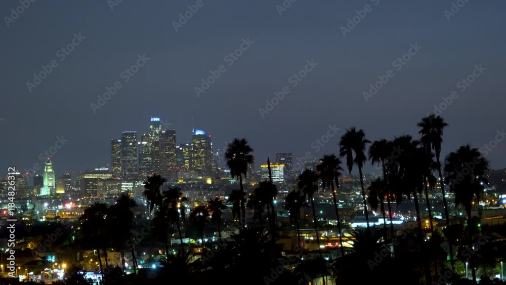 Downtown Los Angeles at night with palm trees in the foreground