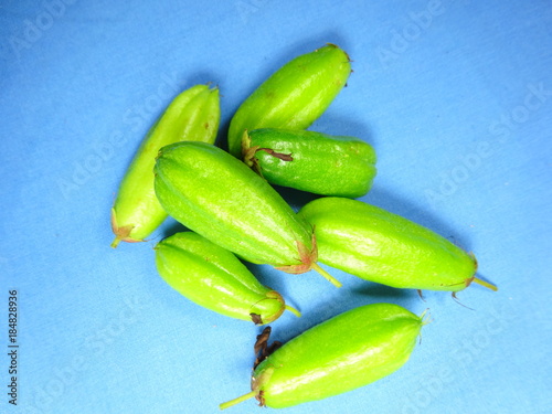 bilimbi close up  photo