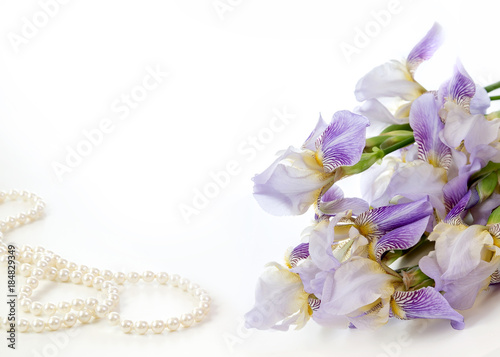 Fototapeta Naklejka Na Ścianę i Meble -  Image with iris.