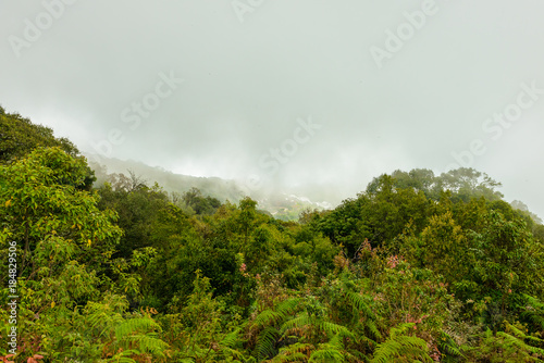 Kew Mae Pan Nature Trail Trekking trail leading through jungle