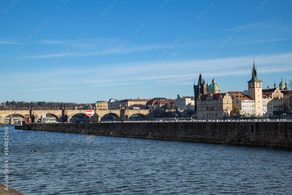 Schwan Prag Karlsbrücke