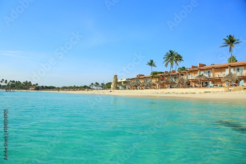 Amazing beauty white sand beach of Aruba Island. Turquoise sea water and blue sky. Beautiful background. © Alex