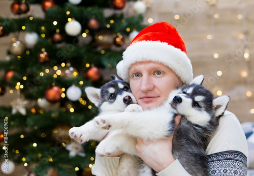 Alexey. Man and puppy husky, Santa Claus hat, close up