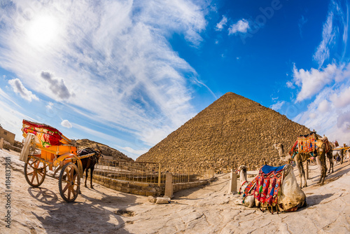 Horse with carriage and camels in front of the great pyramid of Giza, Egypt