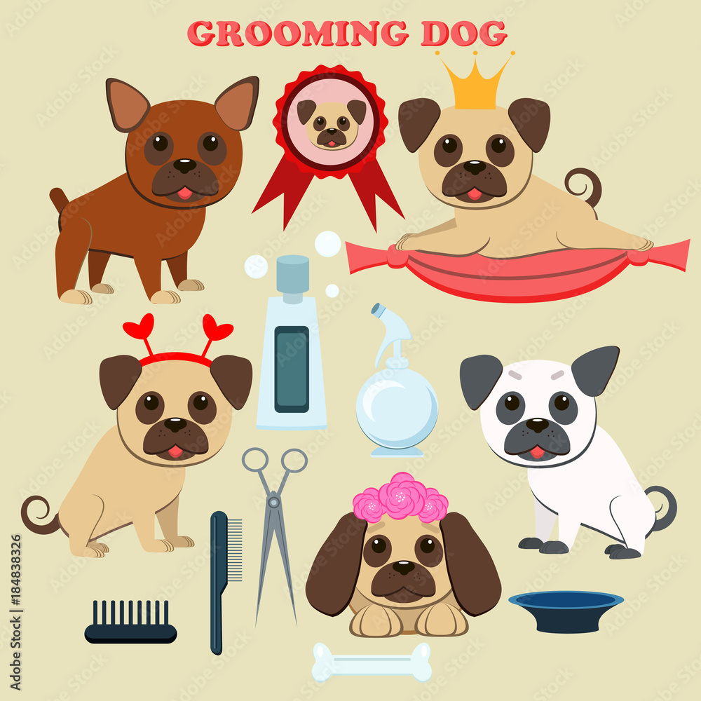 Mesmerizing Do Dog Groomers Need A License Landscape Photography