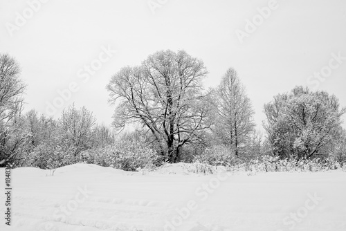 Wallpaper Mural Snowy frozen landscape of sunrise on lakeside with trees
 Torontodigital.ca