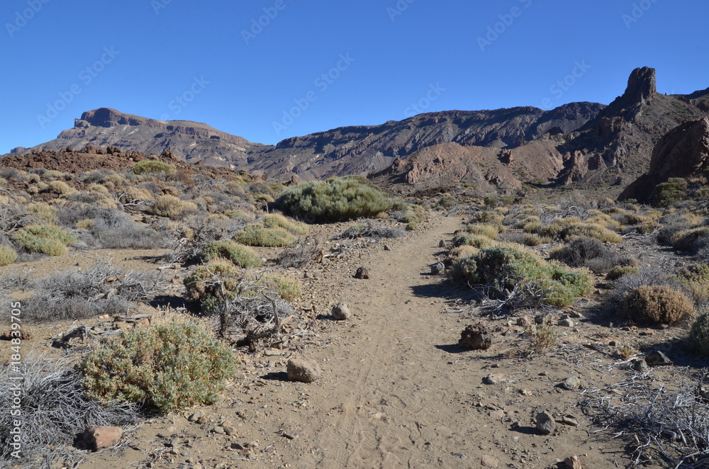 Sentier de randonnée, parc national du Teide Sentier de randonnée, parc national du Teide