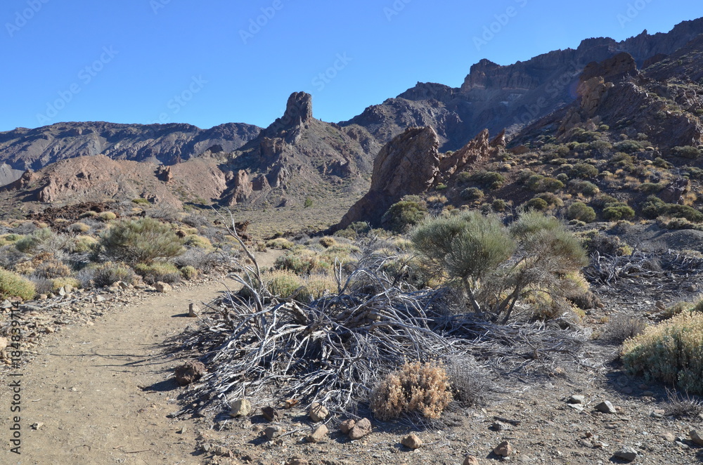 Fototapeta premium Sentier de randonnée, parc national du Teide