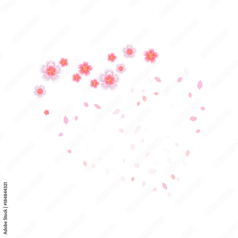 Pink flying flowers and petals isolated on white background. Sakura flowers. Heart of petals and flowers. Vector