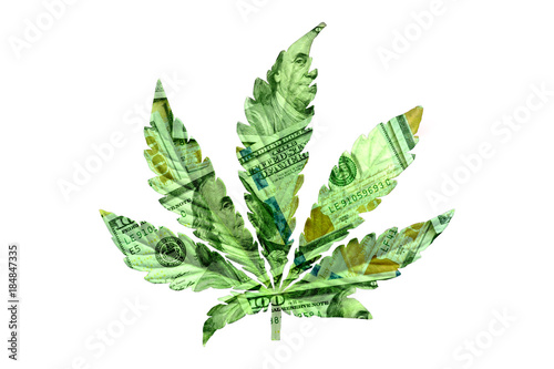 money marijuana Insulation Background concept of money and taxes with the sale of cannabis, money marijuana photo