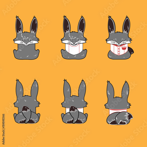 grey fox vector