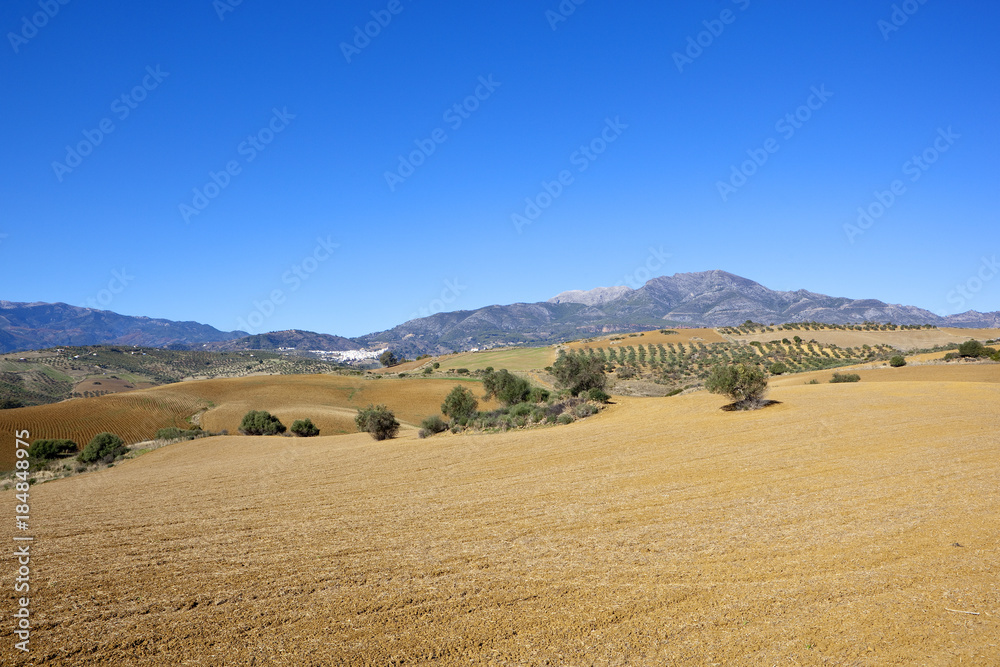 andalucian agriculture