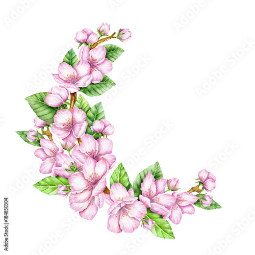 Spring Blossom. Cherry pink flowers. Blooming branch of fruit tree. Apple brunch. Floral border. Watercolor illustration