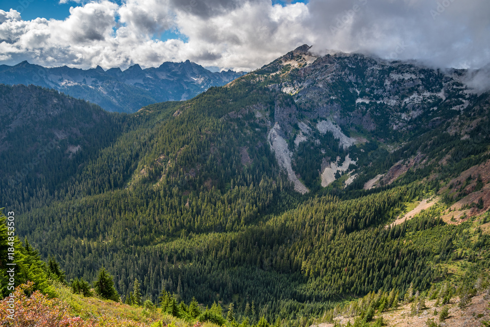 Obraz premium Rocky mountains covered with green forest with blue sky and white clouds on the background
