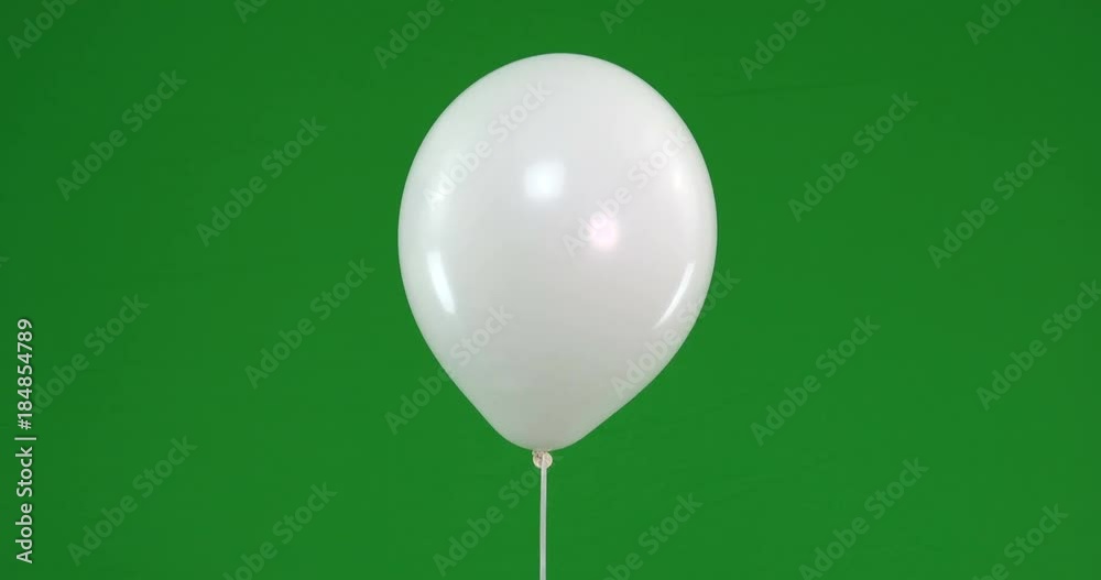 Green screen of colorful Balloons rising and flying ready for party Green screen of colorful Balloons rising and flying ready for party