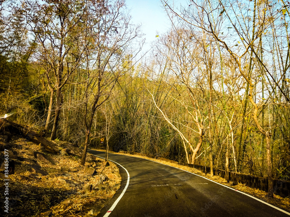 Fototapeta premium Way to Forest- Kerala-Athirappilly