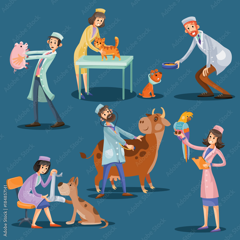 Professional veterinarians check health and take care of cute pets dog,  puppy, cat, pig, cow, parrot. Man and woman doctor characters do medical  examination of animals. Cartoon vector illustration Stock Vector |