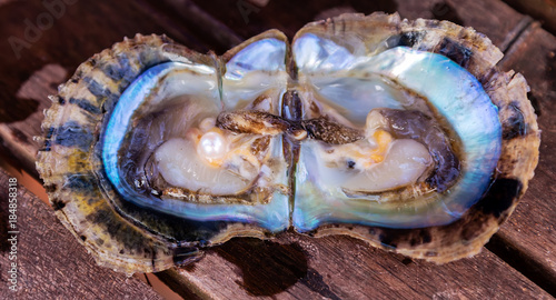 Open oyster with harvest pearls mother-of-pearl. Seashell
