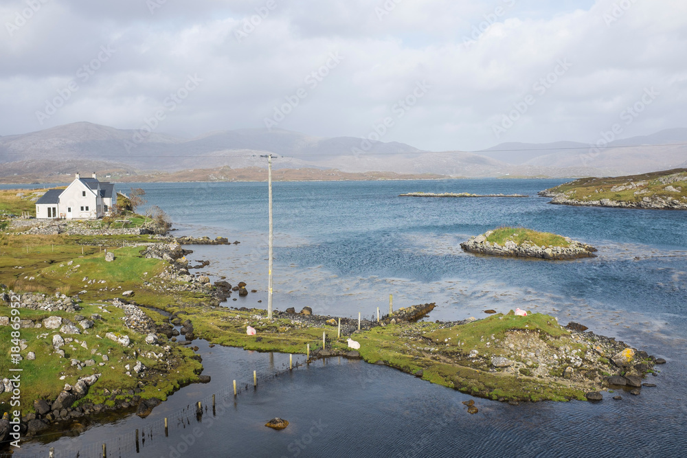 Rugged Coastal Landscape with Sheep on the Isle of Harris