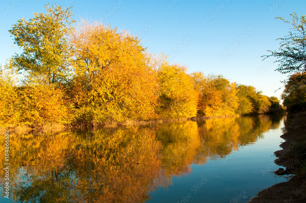 yellow autumn trees on the river