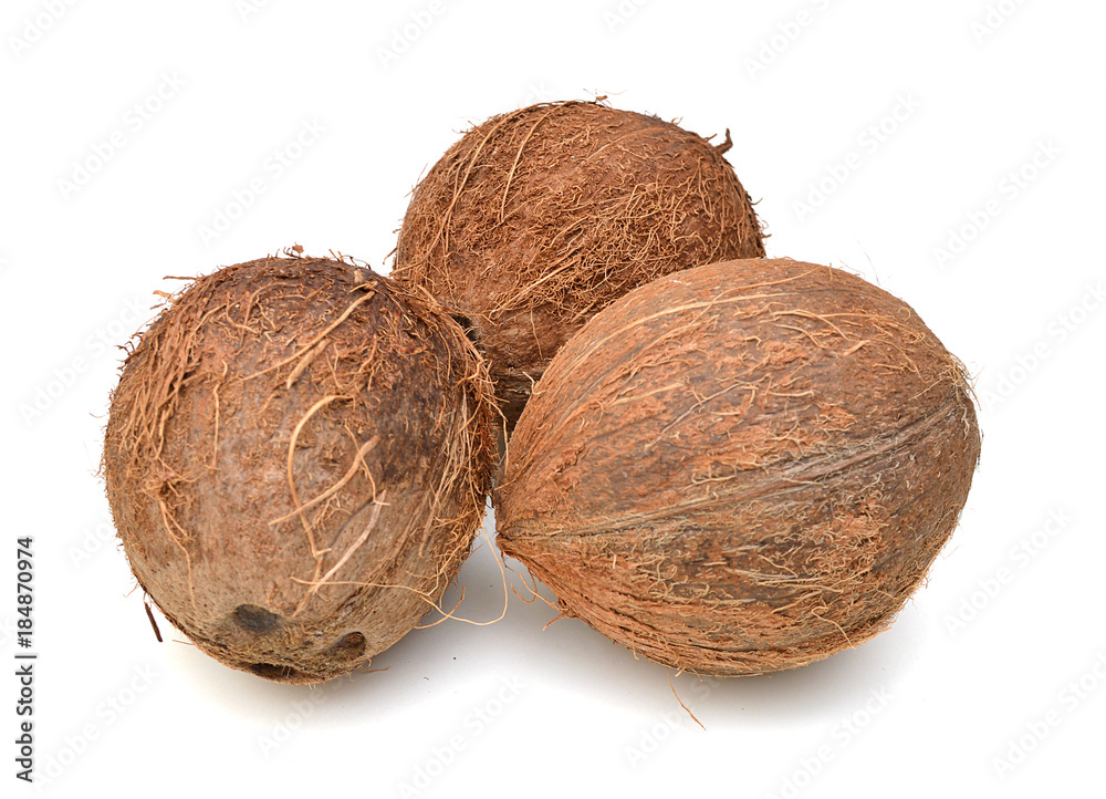 Coconut isolated on white Background Coconut isolated on white Background