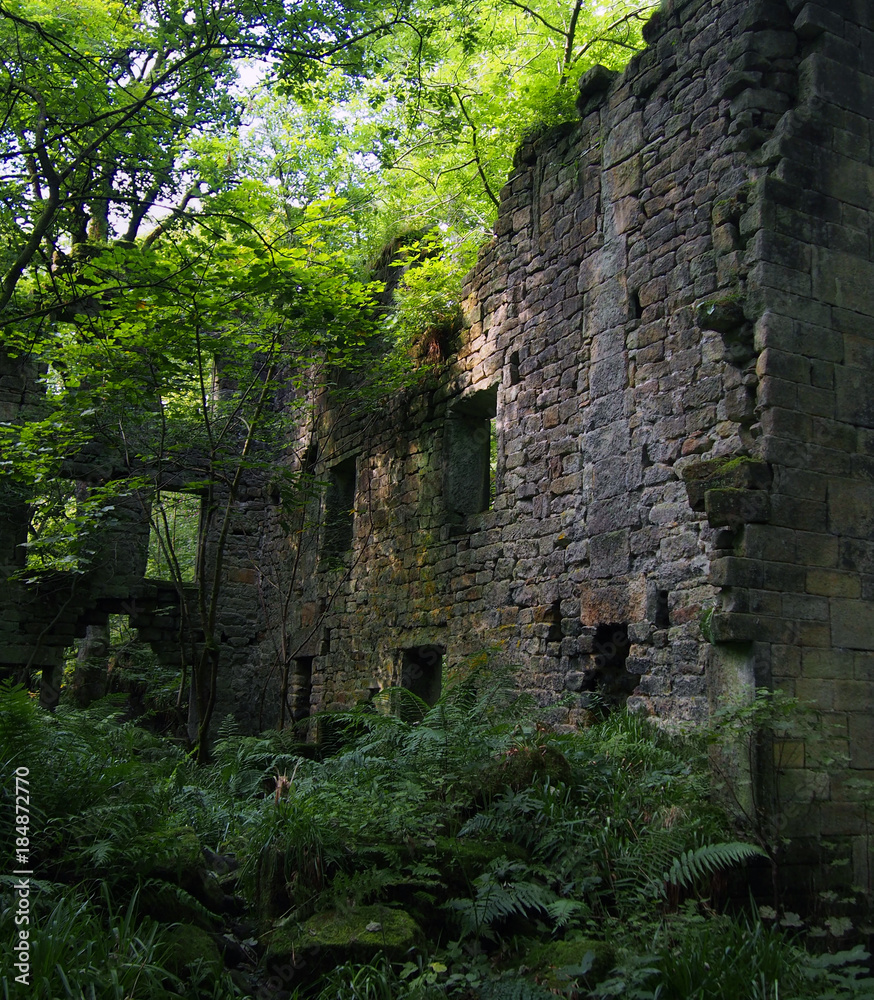 the ruins of staups mill near hebden bridge in woodland in west yorkshire