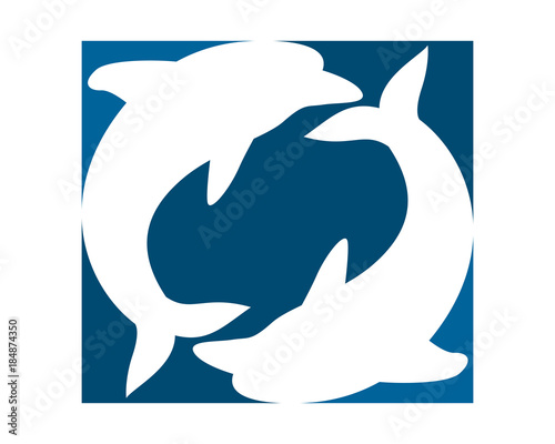 dolphin pisces silhouette fish nautical marine life image animal