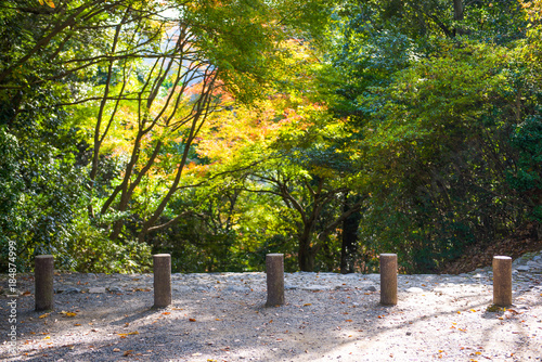 Arashiyama park at autumn season