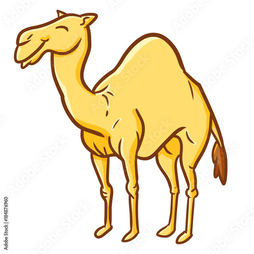 Cool and great camel standing - vector.