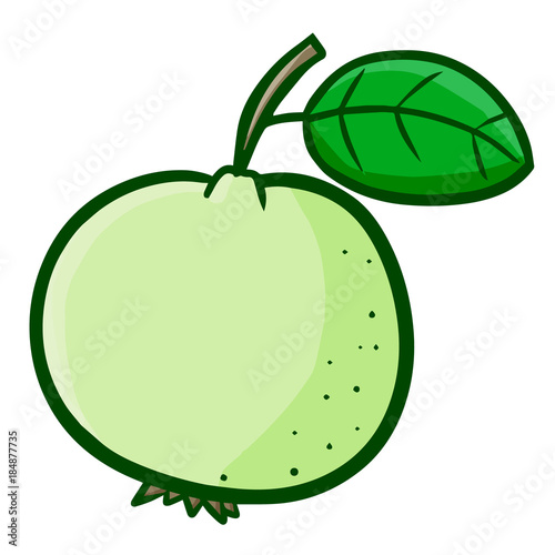 Funny and yummy green guava ready to eat - vector.