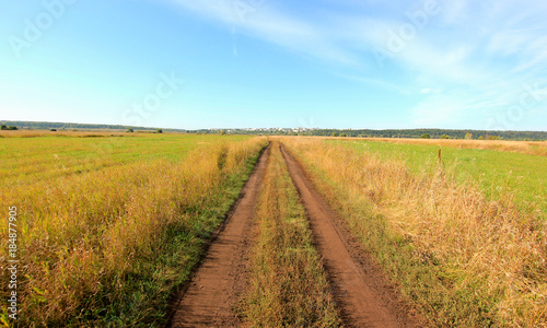 landscape with road in a field with herbs and blue sky