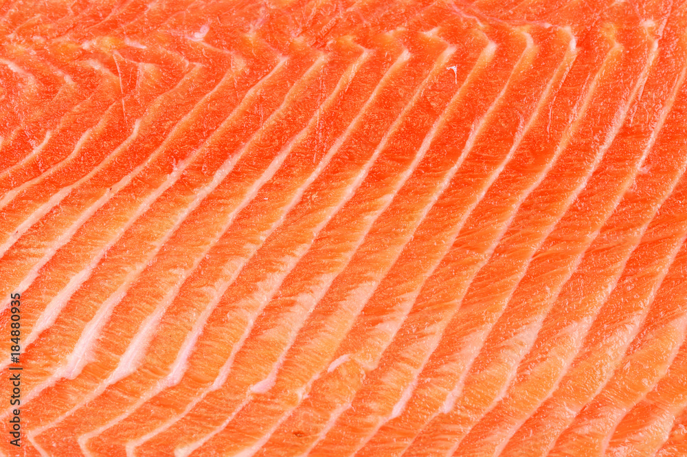 salmon fillet background